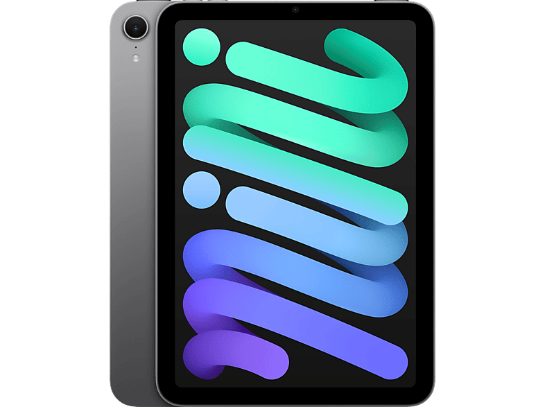APPLE Tablet en color Gris espacial — 256 GB y WiFi