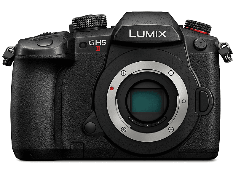 Cámara EVIL PANASONIC en color Negro de 21,8 megapixel